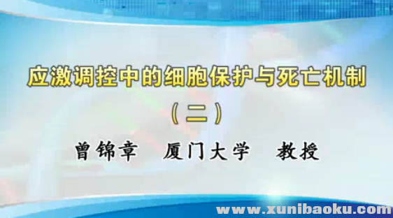QQ图片20170710110048.png