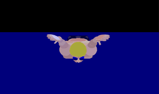 蝶泳1.gif