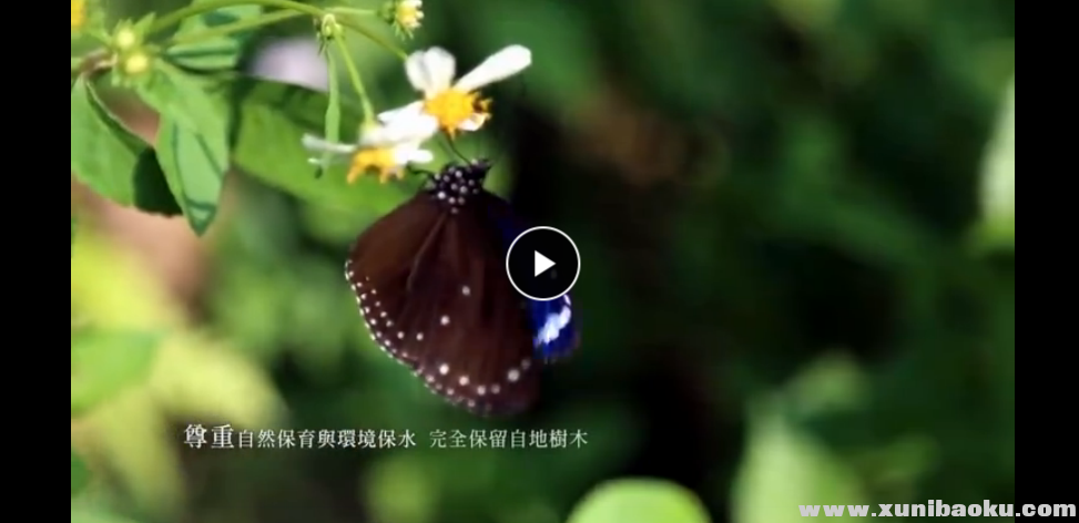 QQ图片20190102110130.png