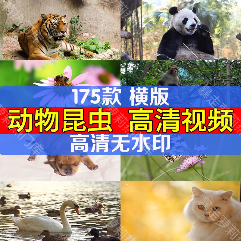 截图202310311056433739.png