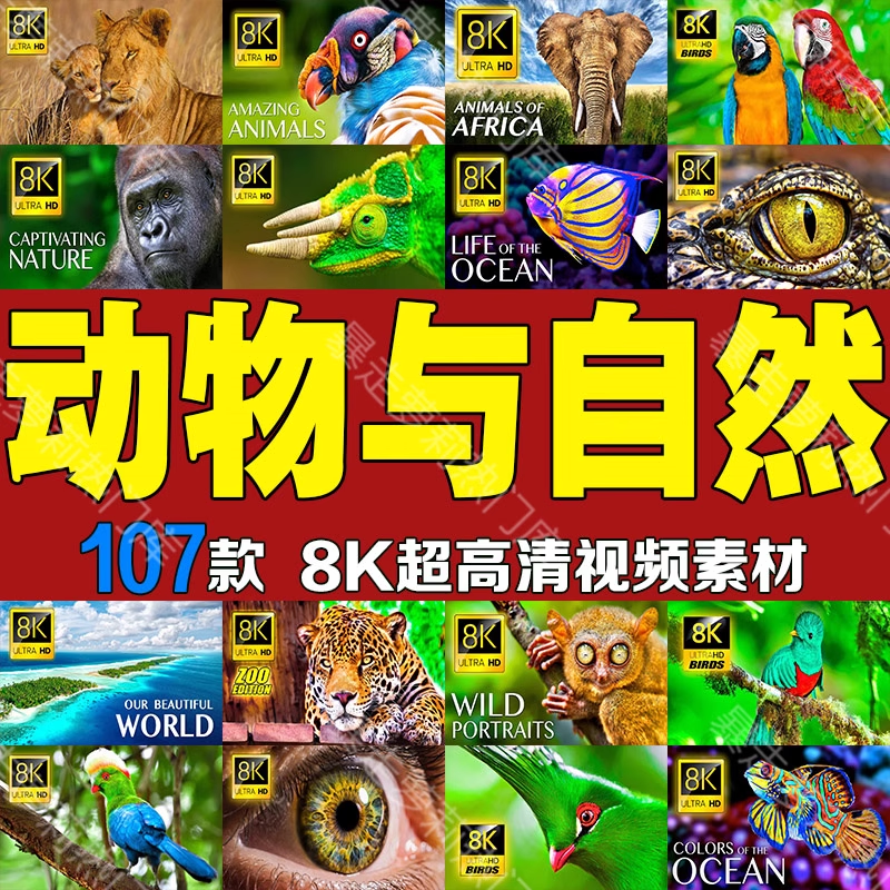截图202311031238115135.png