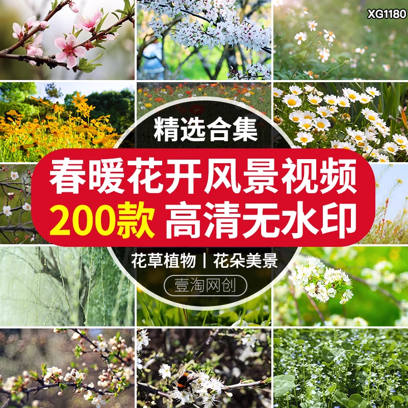 截图202311101524168578.png