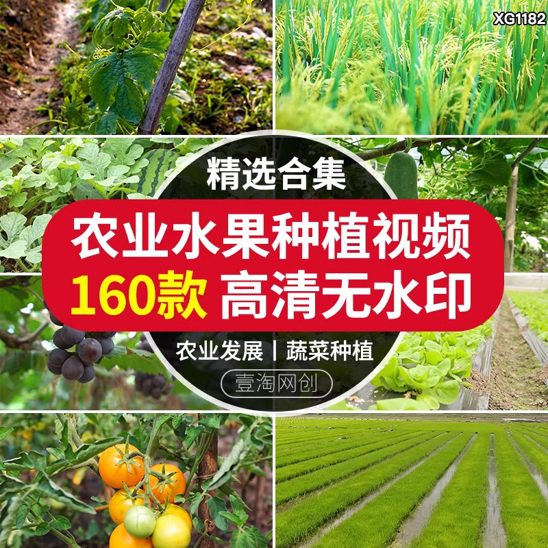 截图202311101530433664.png