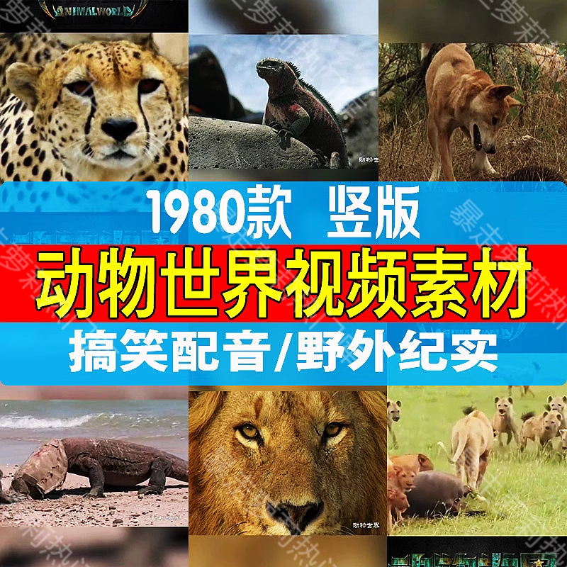 截图202311162020029478.png