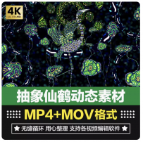 高清4K仙鹤小鸟水草抽象动态壁画LED大屏幕KTV舞台VJ背景视频素材