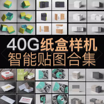 产品纸盒外包装展示效果图素材PSD智能贴图模板VI品牌提案PS样机